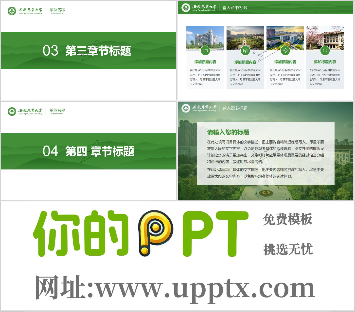 安徽农业大学PPT模版-绿色插图1