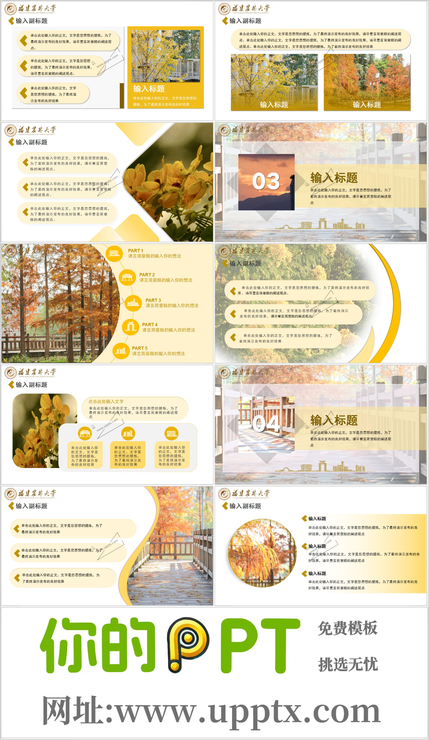 福建农林大学PPT模板-黄插图1