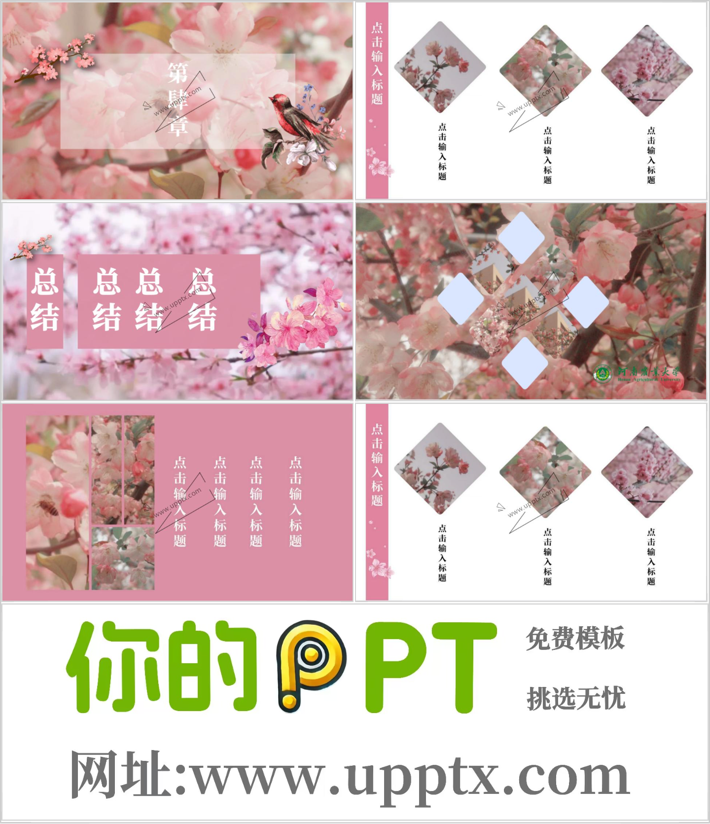 河南农业大学PPT模板-夕岚插图1