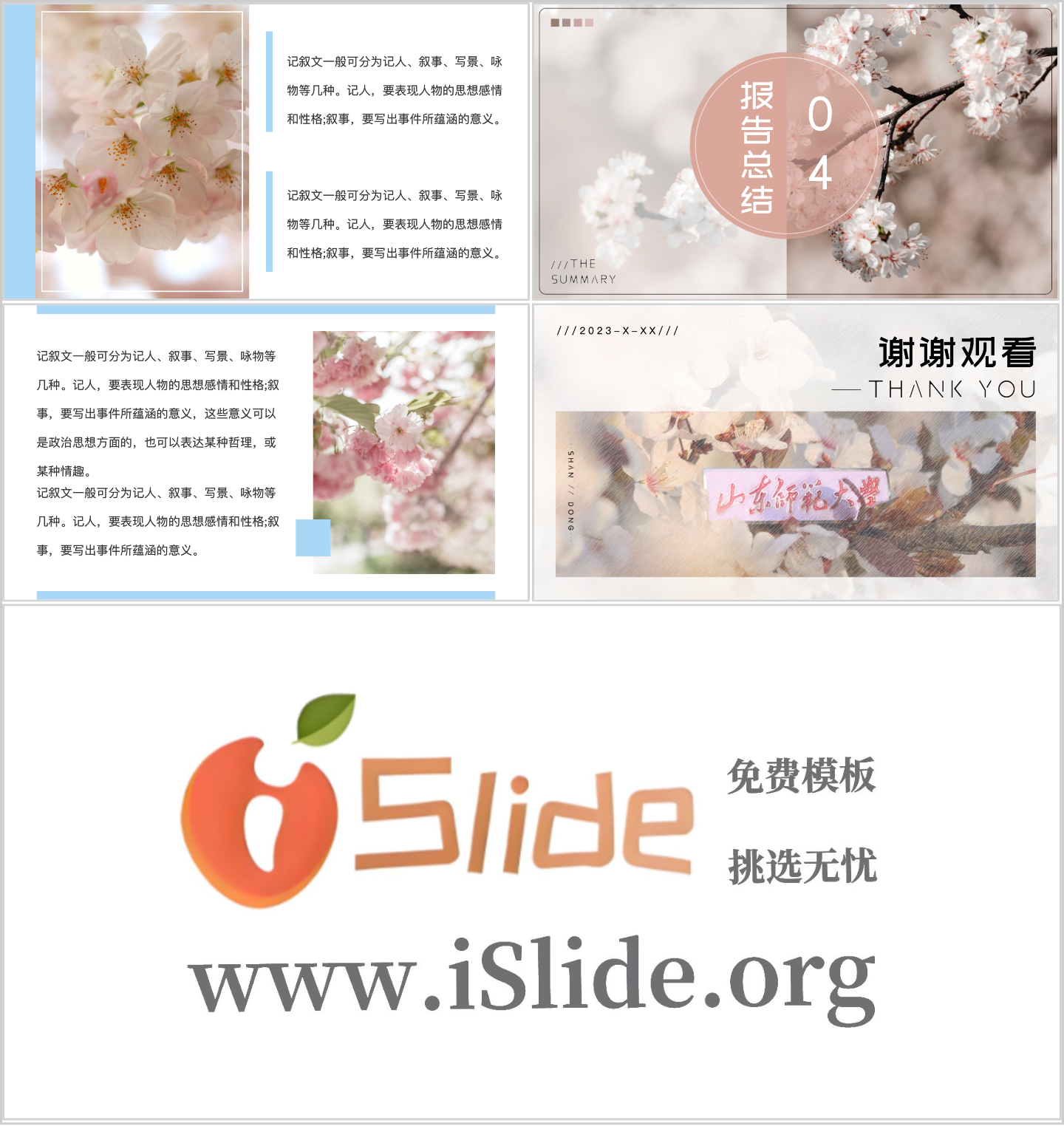 山东师范大学PPT模板-樱花暖插图1