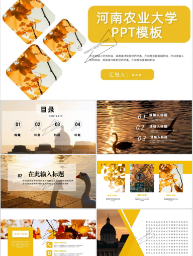 河南农业大学PPT模板-雅梨(1)