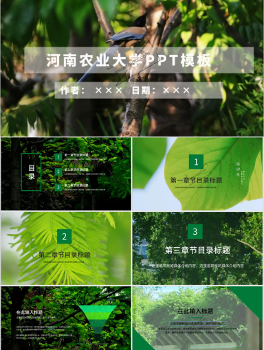 河南农业大学PPT模板-农大绿(1)
