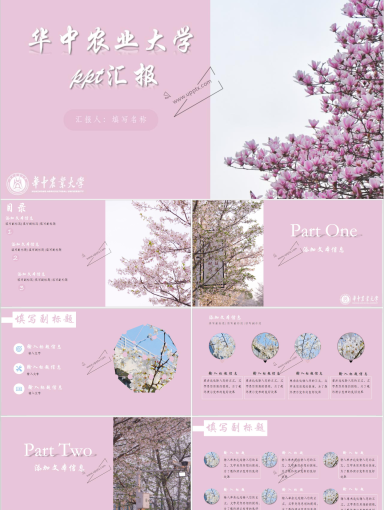 华农ppt模板-樱花粉