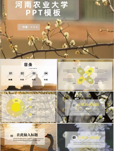 河南农业大学PPT模板-鹅黄(1)