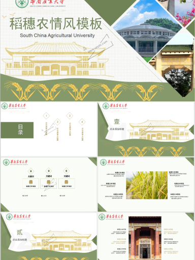 华南农业大学PPT模板-稻穗农情风模板