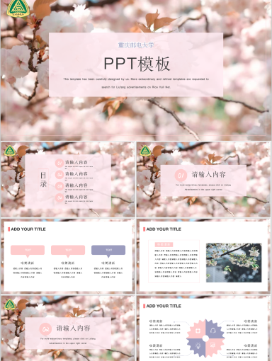 重庆邮电大学PPT模板-春·樱花